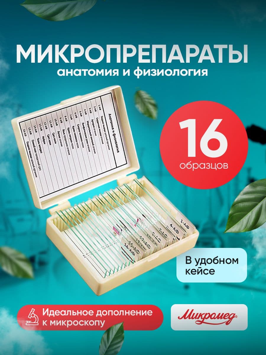 Микропрепараты для микроскопа Микромед Анатомия и Физиология 16 образцов