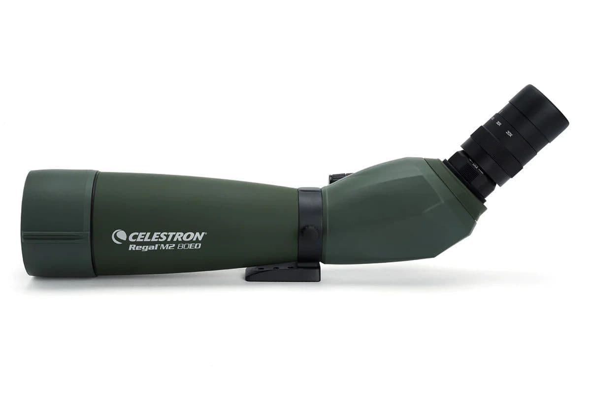 Зрительная труба Celestron REGAL M2 80 ED 20-60x80mm — фото 8