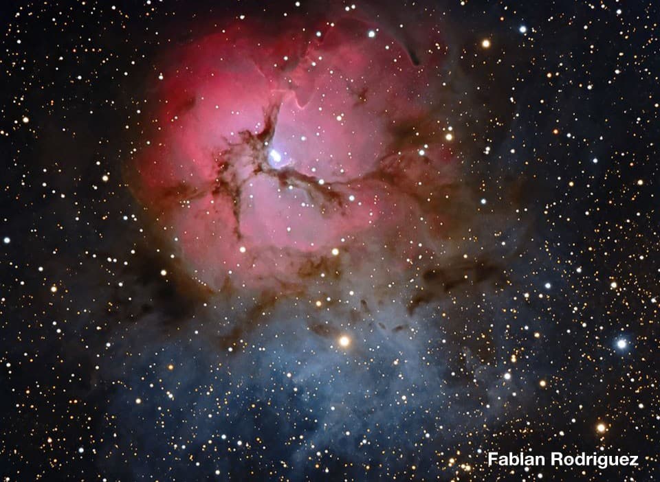 Оптическая труба MEADE 12 ACF (f/8) OTA w/UHTC (крепление - пластина  Losmandy-style) — фото 5