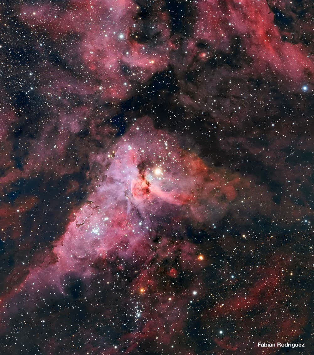 Оптическая труба MEADE 12 ACF (f/8) OTA w/UHTC (крепление - пластина  Losmandy-style) — фото 8