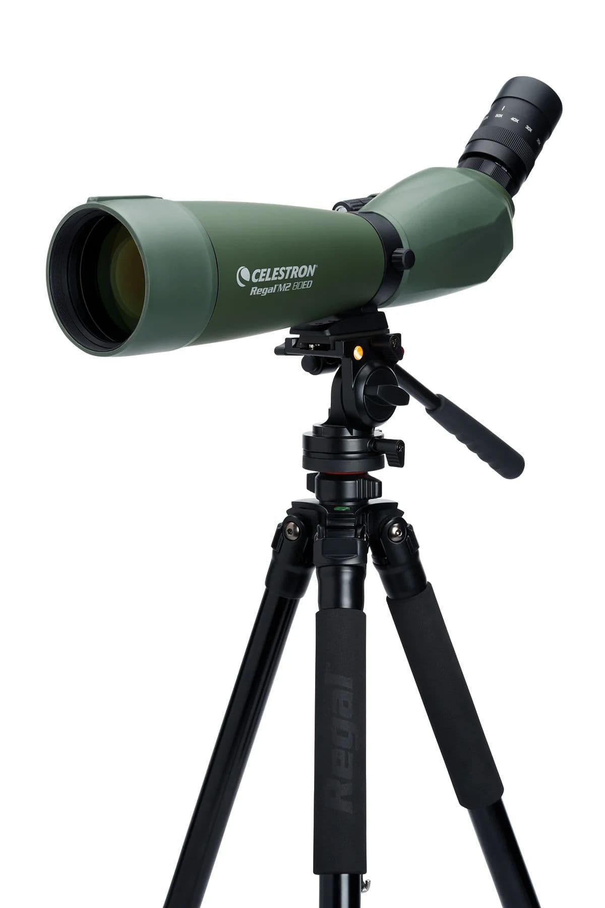 Зрительная труба Celestron REGAL M2 80 ED 20-60x80mm — фото 4